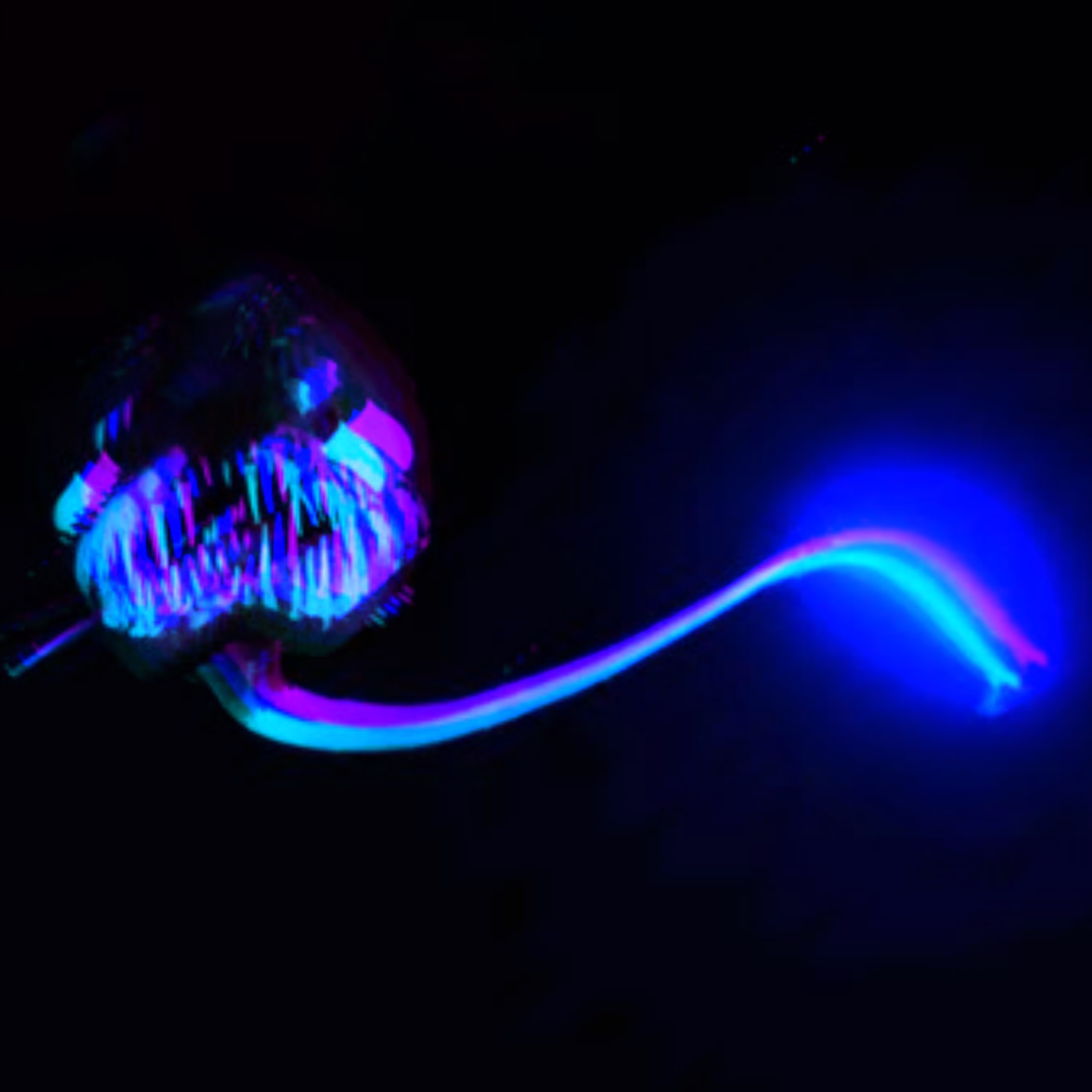Art 4