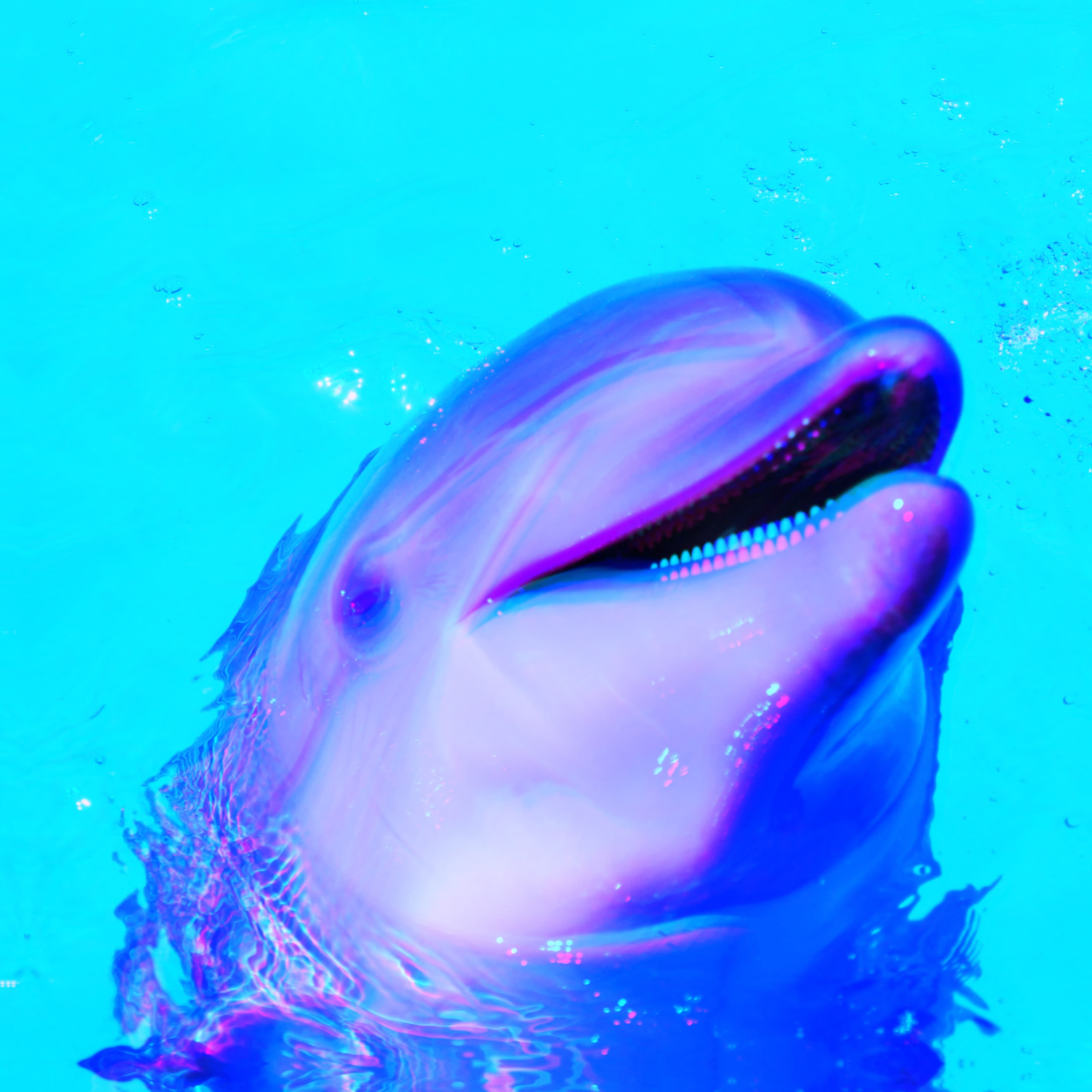 Art 3
