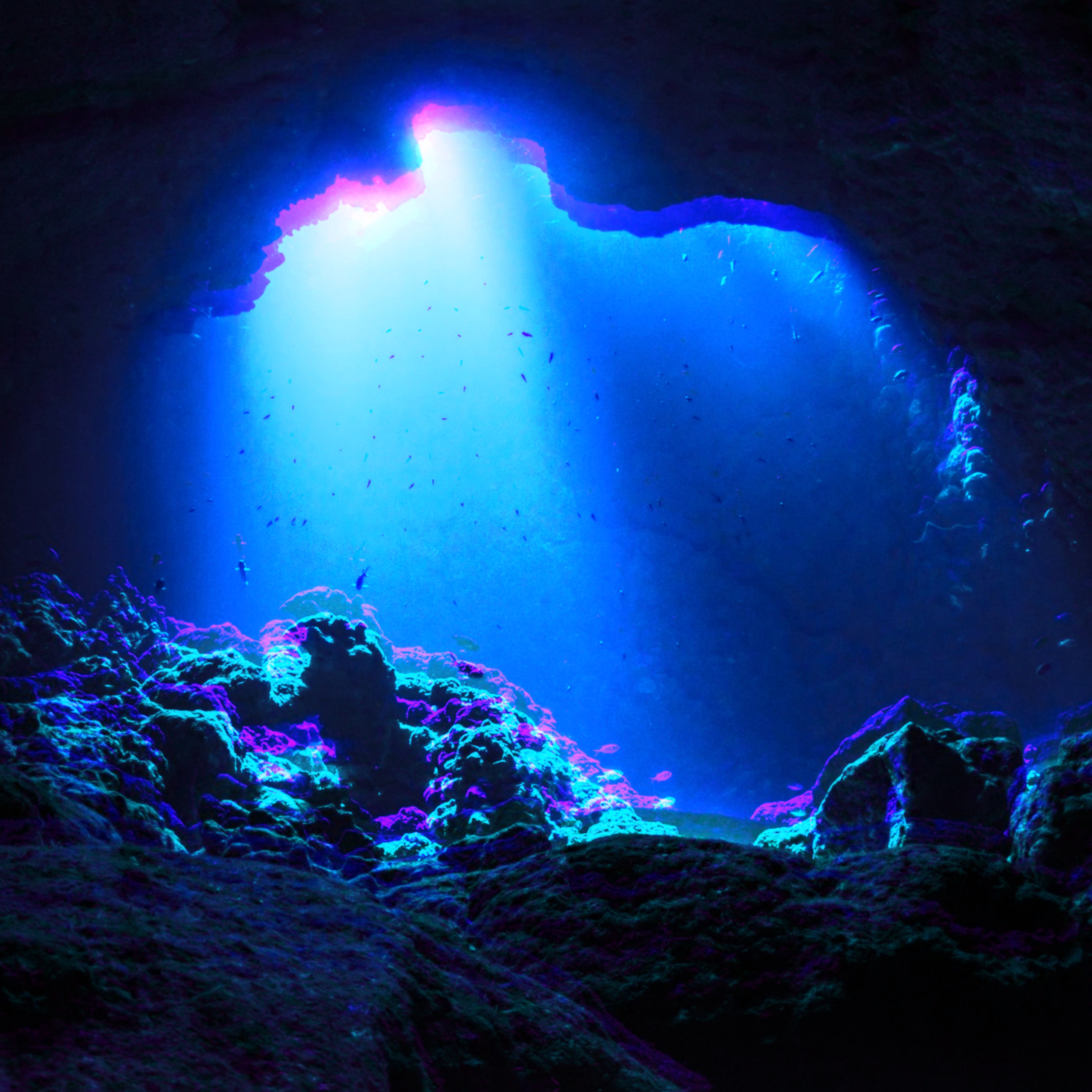 Art 7